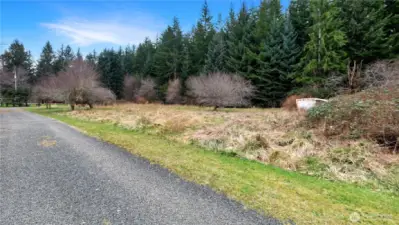 Fruit trees on adjoining parcel