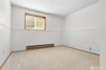 Lower level 4th bedroom.