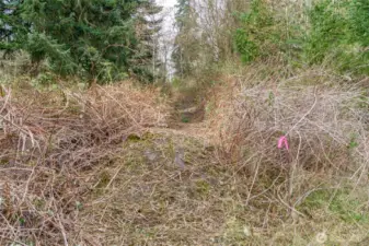 The access easement trail.  The easement is 30 feet wide.