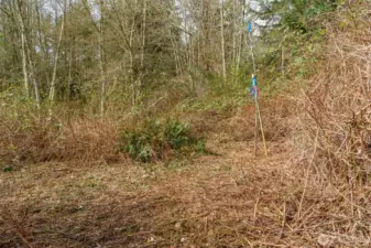 This marks the northeast corner of the property. The easement trail brings you here.