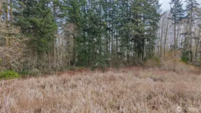 Looking across the pond.