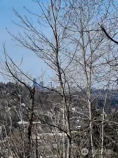 Winter view of downtown Seattle