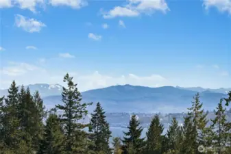 A bit of sparkling Puget Sound visible in the distance.
