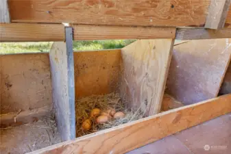 10+ nesting boxes on both sides of chicken coop. Access door on exterior for easy access to eggs...