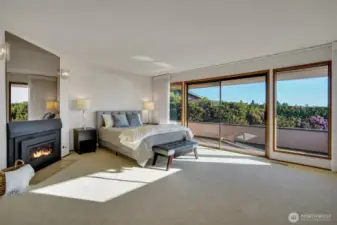 Generous primary suite boasts of fireplace, and slider door to balcony making this your own personal retreat.