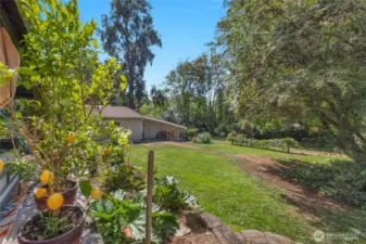 A look at the back of the property and detached garage and shed.