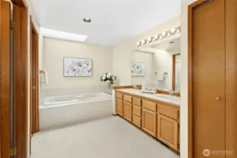 5-piece primary bath with skylights for more natural light.