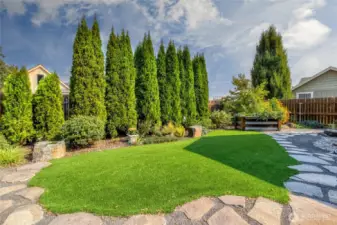 Low Maintenance Turf