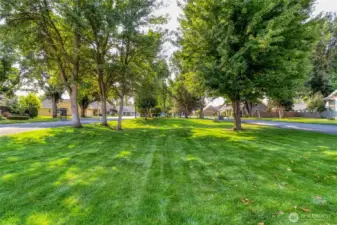 Community Green Space
