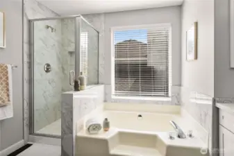 All new step in shower with tile surround and all glass door - soaking tub with tile surround.
