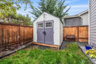 Fully fenced backyard with shed