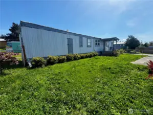 Large yard