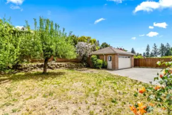 Backyard/Garage