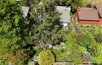 Recently trimmed trees on the property!