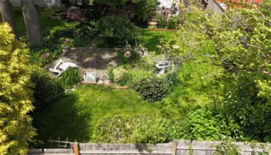 Back yard!