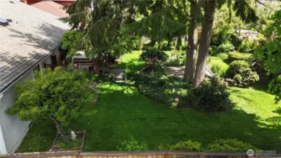 Back yard!