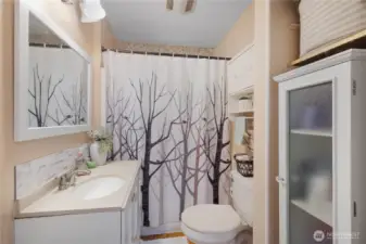 Full Bathroom