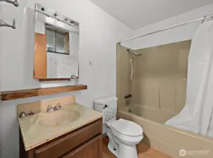 Lower level full bath.