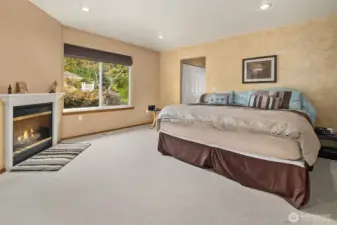 Primary with fireplace