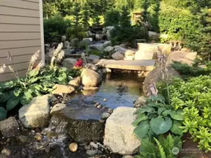 Summer time landscaping