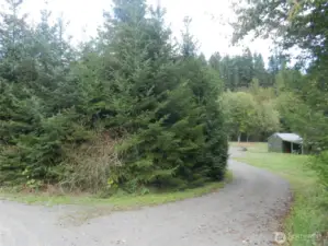 Treed entry off Hwy 101 adds privacy of the property.