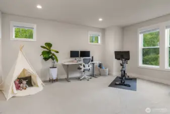 Large bonus room