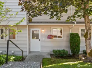 Beautiful Red Maple Tree for shade. Creates shade and privacy for 2nd bedroom.