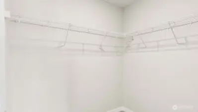 Spacious primary closet!