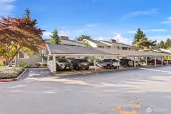 Carport parking in front of the unit. So well-maintained!