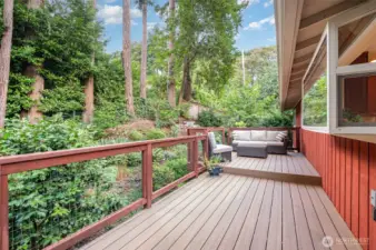 Large deck off kitchen for entertaining or enjoying the private and lush backyard.