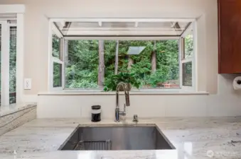 Doing dishes is a joy with a view of lush backyard.