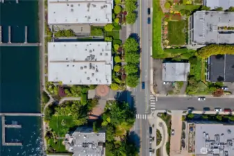 Surrounded by luxury buildings and manicured landscape.