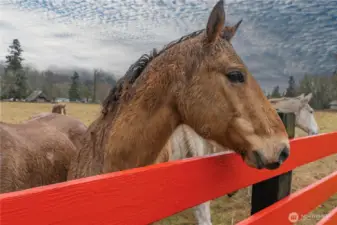 Just saying Hello Mr. Photo Man-Do You Have A Treat?
