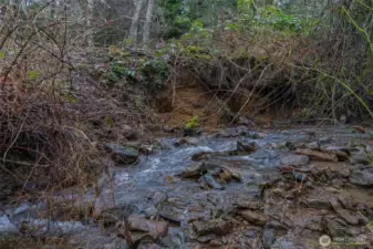 Creek that boarders Property Line