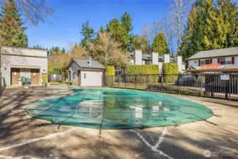 Outdoor pool for summer fun