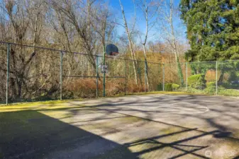Basketball court