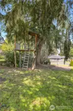 It comes with your very own tree house.