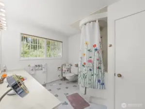 Primary bath and shower with step in bath