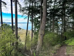 Taken from the private community trail just a few properties down from this listing. You can go all the way down to the beach on Snakelum Point and walk the beach for hours.