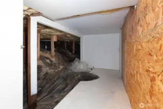 Crawl Space Storage