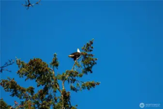 Plenty of wildlife to watch as well!