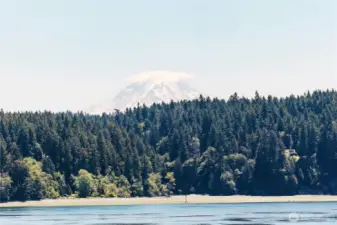 Mt Rainier view from all decks and windows.