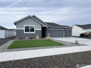 Artificial Turf Landscape
