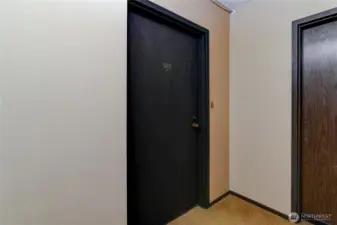 Unit Entry from hallway.
