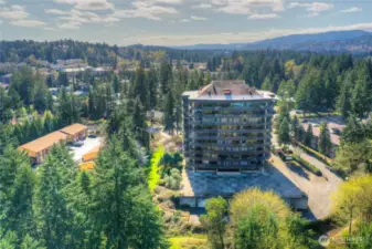 Capitol Lake Towers.