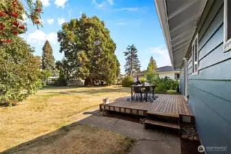 Expansive outdoor space ready for your vision