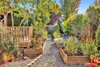 Fruit trees, flowers and berries.