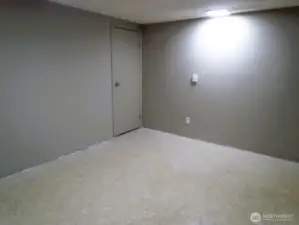 Behind this door is a storage under that is located under the stairs.