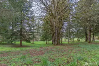 Spacious Pasture area