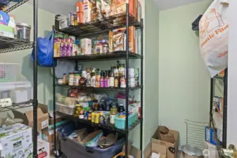 2nd Large walk in pantry